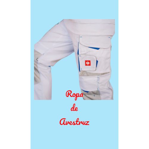 Engelbert Strauss pantalones de cintura MOTION 2020